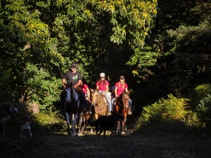 Visita guiada a caballo "Teletransportarse" @ Casa de San Zadornil | San Zadornil | Castilla y León | España
