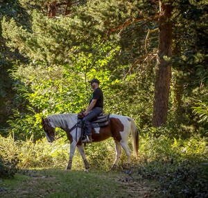 Visita guiada a caballo "A tus pies" @ Casa de San Zadornil | San Zadornil | Castilla y León | España